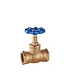 Brass Globe Valve (Blue Petal Handwheel, Female Thread)